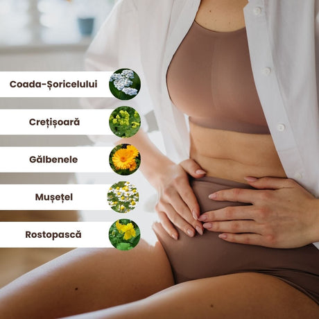 Lista ingredientelor naturale din Pachetul Sănătatea Aparatului Genital de la Faunus Plant: Coada-șoricelului, Crețișoară, Gălbenele, Mușețel, Rostopască. Femeie cu dureri menstruale ce își ține mâinile în zona abdominală.