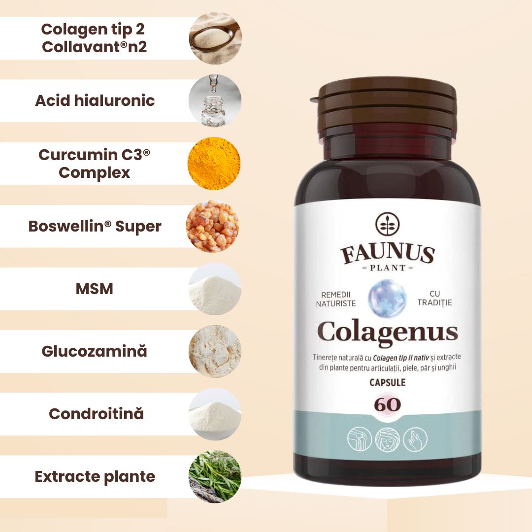 Flacon de Colagenus Capsule de la Faunus Plant cu ingrediente explicate, unul sub altul, fiecare având câte o imagine reprezentativă tip medalion.