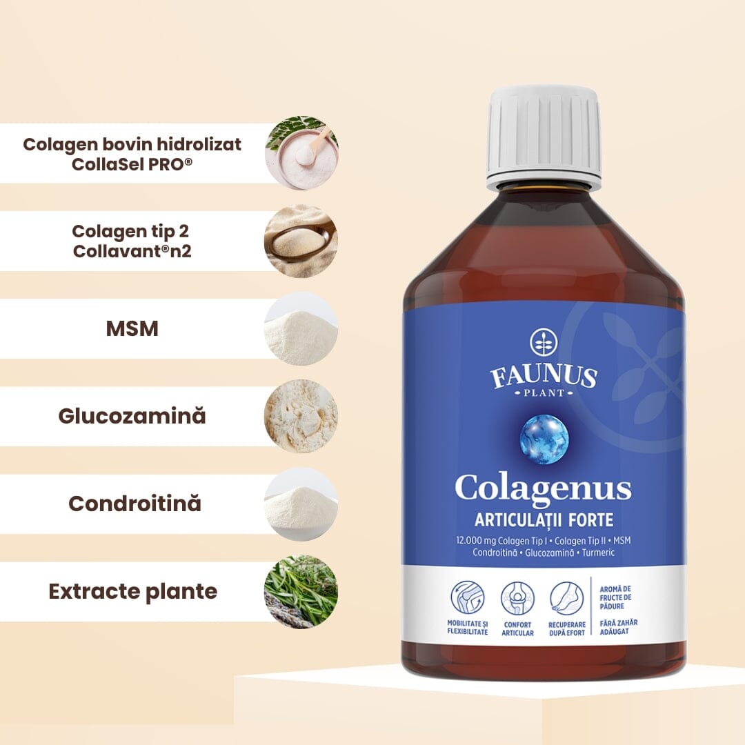 Colagenus Articulații Forte - Colagen lichid concentrat, 12.000mg colagen tip 1 și 40mg colagen tip 2. Flacon 500ml. Susține sănătatea articulațiilor, reducerea inflamațiilor și durerii reumatice, refacerea mușchilor și ligamentelor Supliment alimentar Faunus Plant 