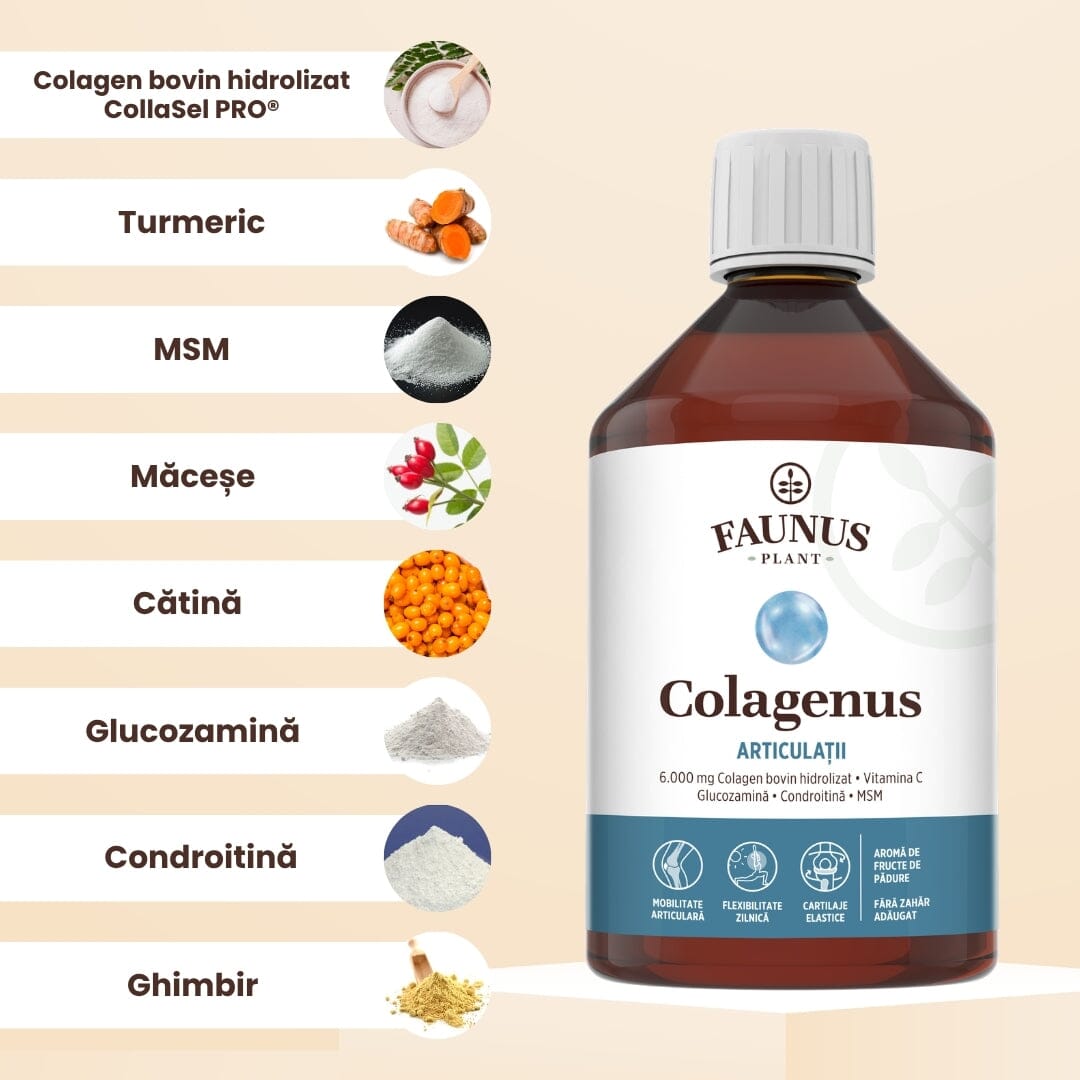 Colagenus Articulații - Colagen lichid. Flacon 500ml. Susține sănătatea articulațiilor, mușchilor și ligamentelor. Reduce durerile reumatice Supliment alimentar Faunus Plant 
