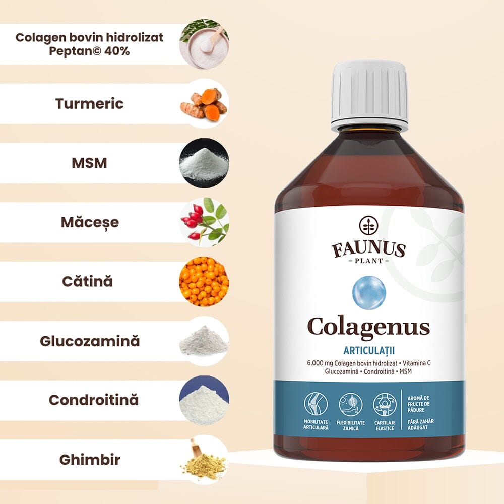 Colagenus Articulații - Colagen lichid. Flacon 500ml. Susține sănătatea articulațiilor, mușchilor și ligamentelor. Reduce durerile reumatice Supliment alimentar Faunus Plant 