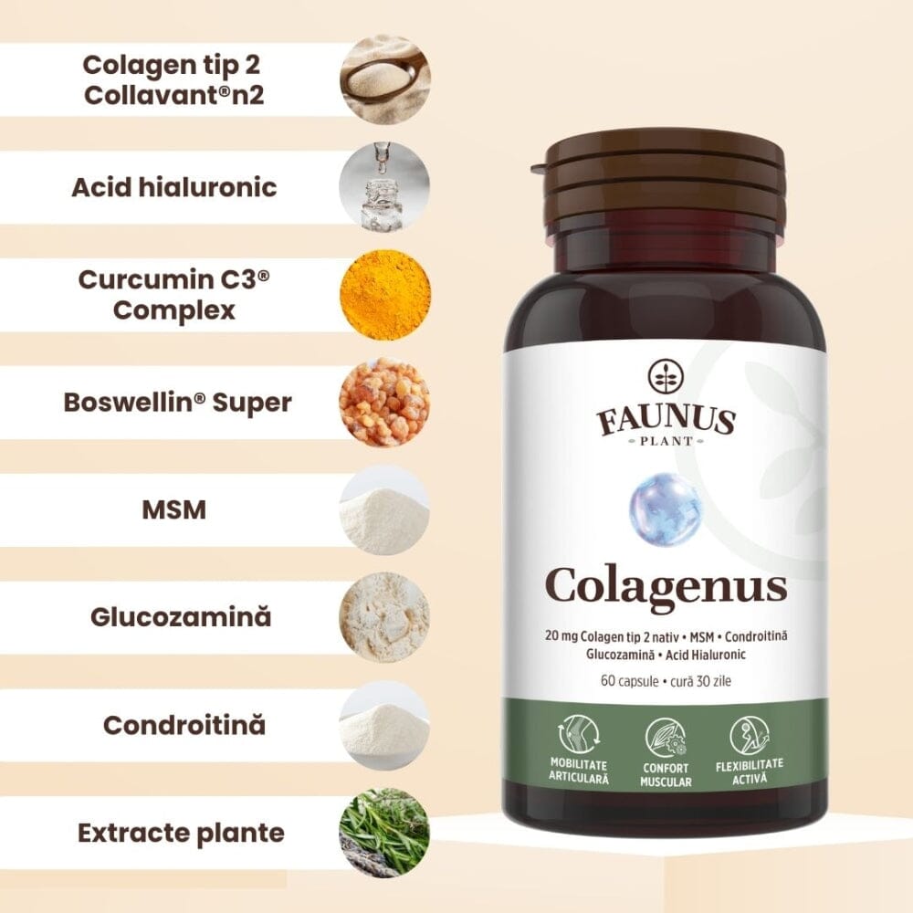 Colagenus Capsule - Colagen concentrat tip II, acid hialuronic și plante medicinale. Dureri articulare, rezistență articulații, flexibilitate - 60 Capsule Supliment alimentar Faunus Plant 