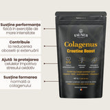 Colagenus Creatine Boost – Colagen pudră cu acid hialuronic și creatină. Colagen tip 1 și 3 pentru masa musculară, articulații sănătoase și piele hidratată. Pudră 450g Pudra Faunus Plant 
