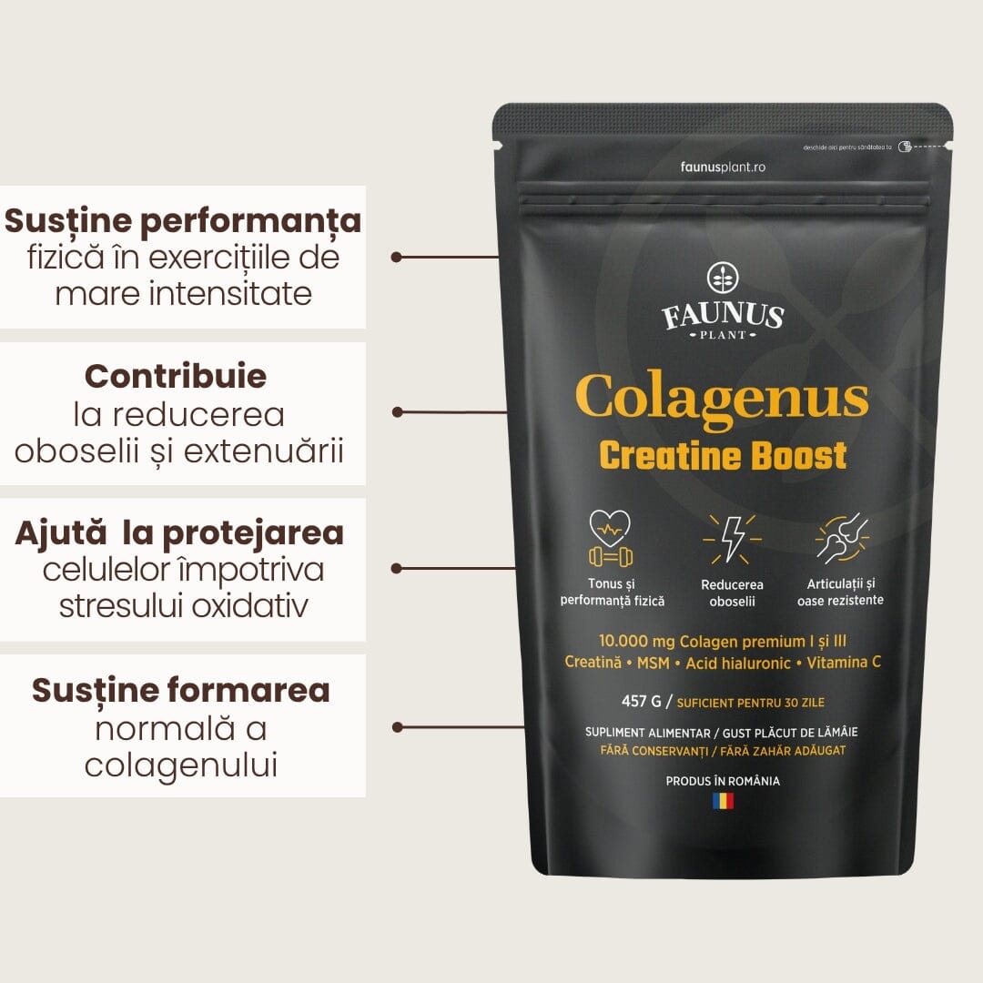 Colagenus Creatine Boost – Colagen pudră cu acid hialuronic și creatină. Colagen tip 1 și 3 pentru masa musculară, articulații sănătoase și piele hidratată. Pudră 457g Supliment alimentar Faunus Plant 