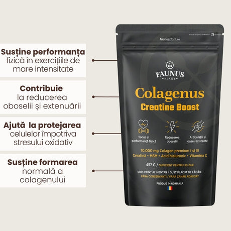 Colagenus Creatine Boost – Colagen pudră cu acid hialuronic și creatină. Colagen tip 1 și 3 pentru masa musculară, articulații sănătoase și piele hidratată. Pudră 457g Supliment alimentar Faunus Plant 