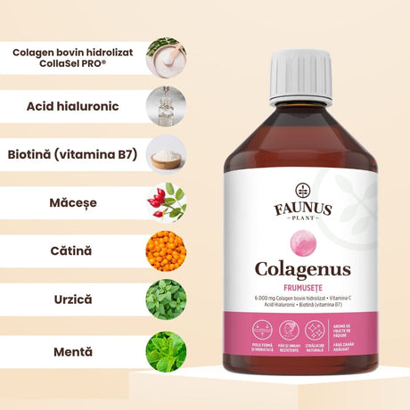Colagenus Frumusețe - Colagen lichid hidrolizat cu acid hialuronic și biotină. Flacon 500ml. Susține sănătatea și frumusețea pielii, unghiilor și părului. Reduce ridurile și căderea părului. Întărește unghiile Supliment alimentar Faunus Plant 