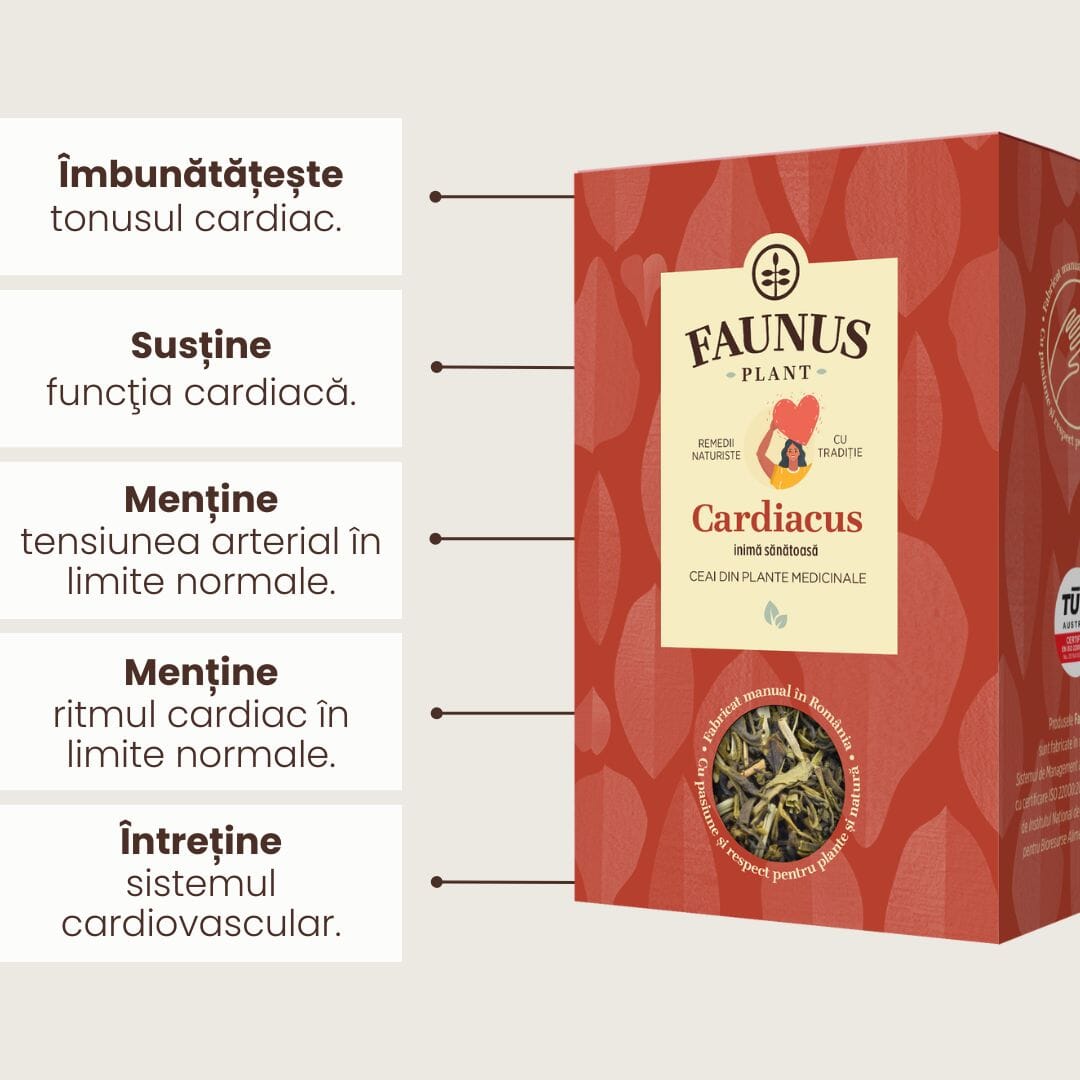 Grafică informativă pentru Ceaiul Cardiacus 90g de la Faunus Plant, prezentând beneficiile produsului în menținerea sănătății inimii: îmbunătățirea tonusului cardiac, susținerea funcției cardiace, menținerea tensiunii arteriale și a ritmului cardiac în limite normale, precum și întreținerea sistemului cardiovascular.