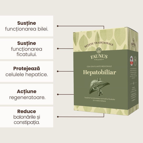 Ilustrație grafică evidențiind beneficiile Ceaiului Hepatobiliar 180g de la Faunus Plant: susține funcționarea bilei și a ficatului, protejează celulele hepatice, acțiune regeneratoare și reduce balonările și constipația.