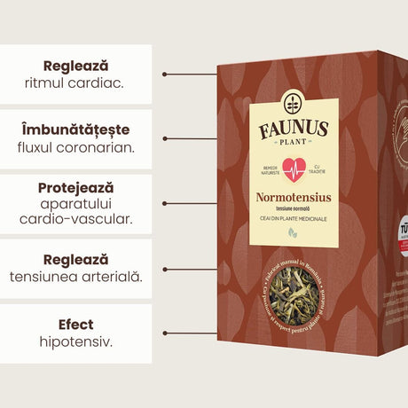 Grafica Beneficii Ceai Normotensius 90g de la Faunus Plant: Imagine grafică care evidențiază beneficiile ceaiului "Normotensius": reglează ritmul cardiac, îmbunătățește fluxul coronarian, protejează aparatul cardiovascular, reglează tensiunea arterială și are efect hipotensiv.