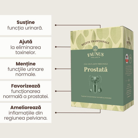Imagine grafică ce prezintă principalele beneficii ale Ceaiului Prostată de la Faunus Plant: susține funcția urinară, ajută la eliminarea toxinelor, menține funcțiile urinare normale, favorizează funcționarea prostatei și ameliorează inflamațiile din regiunea pelviană.