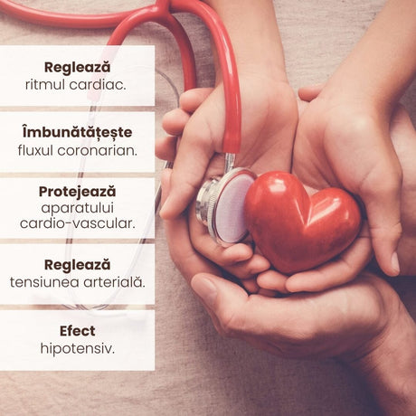 Infografic al beneficiilor Pachetului Normotensius de la Faunus Plant: reglează ritmul cardiac, îmbunătățește fluxul coronarian, protejează aparatul cardiovascular, reglează tensiunea arterială și are efect hipotensiv. Fundal cu o imagine simbolică a inimii ținute în mâini.