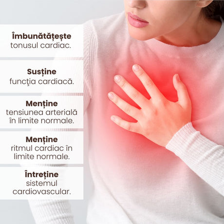Beneficiile produselor din Pachetul Cardiacus de la Faunus Plant prezentate vizual: îmbunătățește tonusul cardiac, susține funcția cardiacă, menține tensiunea arterială și ritmul cardiac în limite normale, întreține sistemul cardiovascular. Imagine cu o persoană ținând mâna pe inimă, exprimând confort și sănătate.