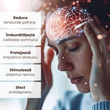 Imagine care listează beneficiile Pachetului Sistem Nervos Sănătos de la Faunus Plant, cum ar fi reducerea tensiunilor psihice, îmbunătățirea calității somnului, protecția împotriva stresului, stimularea sistemului nervos și efectele antidepresive, acompaniată de un fundal tematic reprezentând sănătatea mentală.