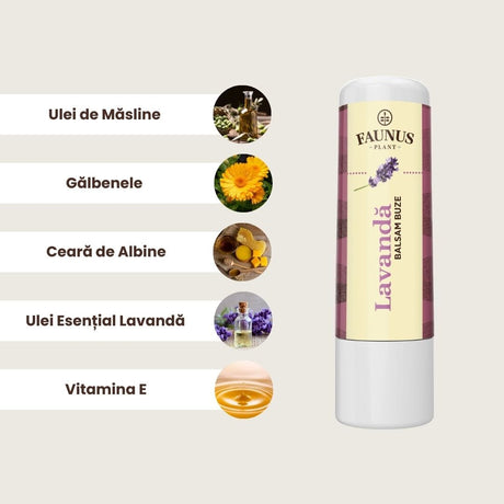 Imagini cu ingredientele principale ale Baslamului de Buze cu Lavandă, și anume ulei de măsline, gălbenele, ceară de albine, ulei esențial de lavandă și vitamina E, toate așezate în ordinea descrisă, în chenar maro deschis, având în partea dreaptă produsul.