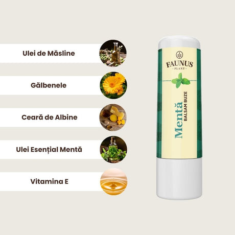 Imagini cu ingredientele principale ale Baslamului de Buze cu Mentă, și anume ulei de măsline, gălbenele, ceară de albine, ulei esențial de mentă și vitamina E, toate așezate în ordinea descrisă, în chenar maro deschis, având în partea dreaptă produsul.