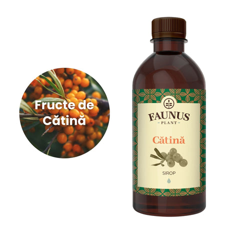 Reprezentare grafică a ingredientului principal al suplimentului, și anume cătina, în chenar alb, având în partea dreaptă flaconul de Sirop Cătină 500ml | Cantitate - 500ml