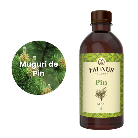 Reprezentare grafică a ingredientului principal al Siropului de Pin 500ml, și anume pinul, în chenar alb, având în partea dreaptă flaconul de sirop. | Cantitate - 500ml