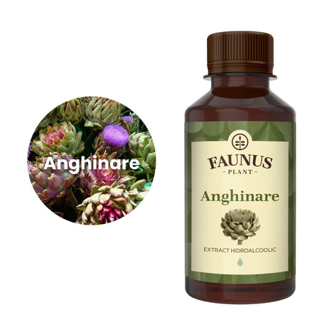 Flaconul de Tinctură Anghinare 200 ml alături de o poză cu ingredientul principal, anghinare
