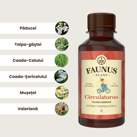 Flaconul de Tinctură Circulatorus 200 ml alături de o poză cu ingredientele principale: păducel, talpa- gâștei, coada-calului, coada-șoricelului, mușețel și valeriană.