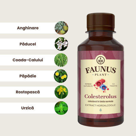 Flaconul de Tinctură Colesterolus 200 ml alături de o poză cu ingredientele principale: anghinare, păducel, coada-calului, păpădie, rostopască și urzică.