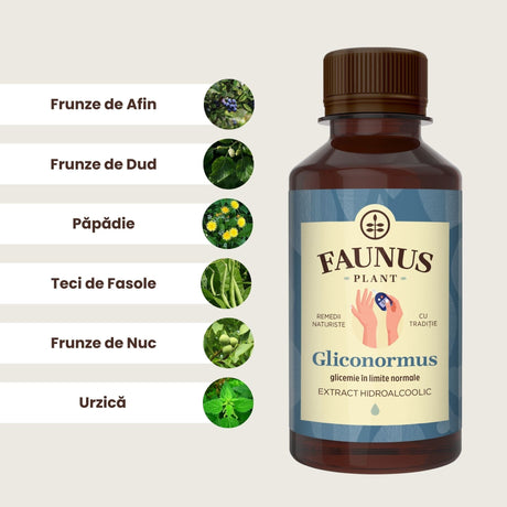 Reprezentare grafică a ingredientelelor principale ale Tincturii Gliconormus 200ml: frunze de afin, frunze de dud, păpădie, teci de fasole, frunze de nuc și urzică. În dreapta imaginii, flaconul Tinctura Gliconormus.