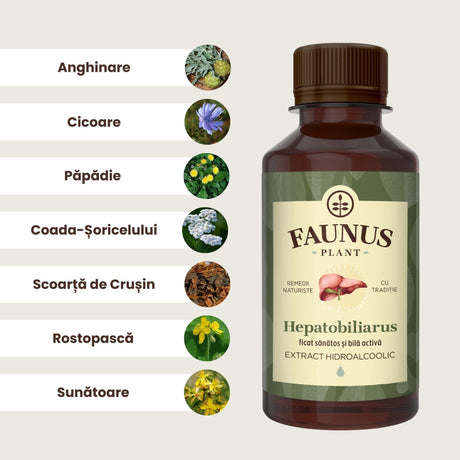 Reprezentare grafică a ingredientelelor principale ale Tincturii Hepatobiliarus 200ml: anghinare, cicoare, păpădie, coada-șoricelului, rostopască și sunătoare. În dreapta imaginii, flaconul Tinctura Hepatobiliarus.