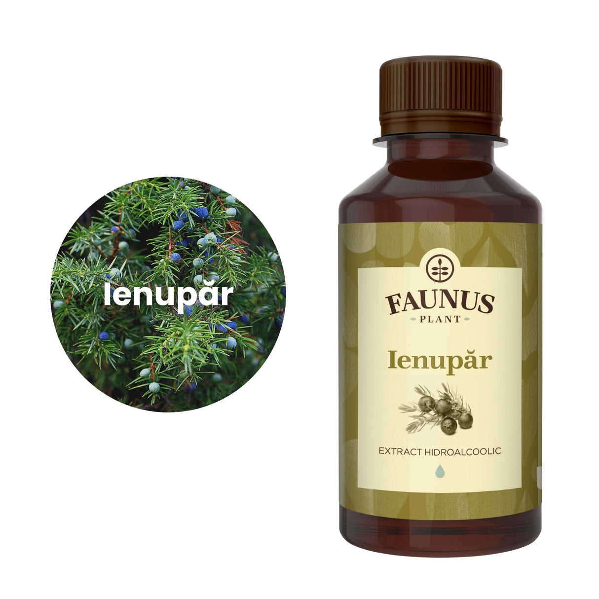 Ienupăr - Tinctură. Flacon 200ml. Extract hidroalcoolic concentrat din ienupăr pentru afecțiuni digestive și urinare Tinctura Simpla Faunus Plant 