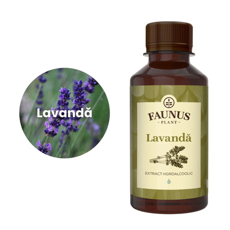 Imagine care cuprinde o reprezentare grafică a ingredientului principal din compoziția Tincturii de Lavandă 200ml și anume floare de lavandă. În dreapta imaginii, flaconul respectiv.