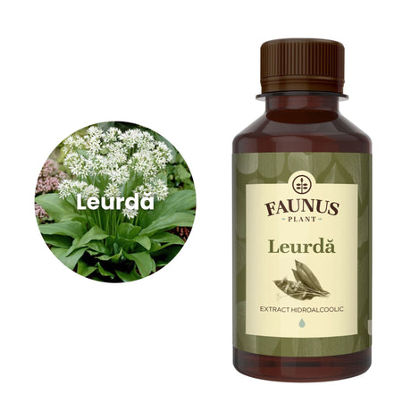 Imagine care cuprinde o reprezentare grafică a ingredientului principal din compoziția Tincturii Leurdă 200ml și anume floarea și frunzele de leurdă. În dreapta imaginii, produsul Tinctură Leurdă 200 ml de la Faunus Plant. | Cantitate - 200ml