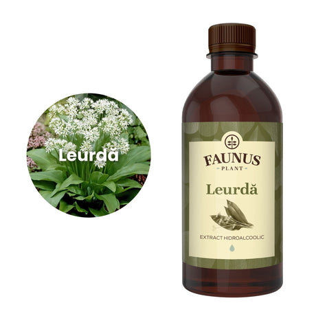 Imagine care cuprinde o reprezentare grafică a ingredientului principal din compoziția Tincturii Leurdă 500ml și anume floarea și frunzele de leurdă. În dreapta imaginii, produsul Tinctură Leurdă 500 ml de la Faunus Plant. | Cantitate - 500ml