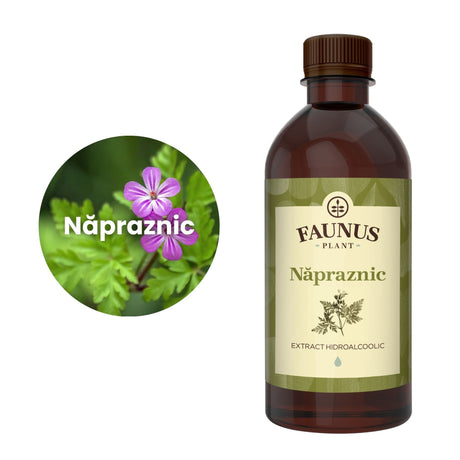 Imagine care cuprinde o reprezentare grafică a ingredientului principal din compoziția Tincturii Năpraznic 500ml și anume planta năpranzic. În dreapta imaginii, produsul Tinctura Năpraznic 500 ml de la Faunus Plant. | Cantitate - 500ml