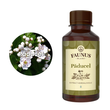 Imagine care cuprinde o reprezentare grafică a ingredientului principal din compoziția Tincturii Păducel 200ml și anume planta păducel. În dreapta imaginii, produsul Tinctura Păducel 200 ml de la Faunus Plant. | Cantitate - 200ml