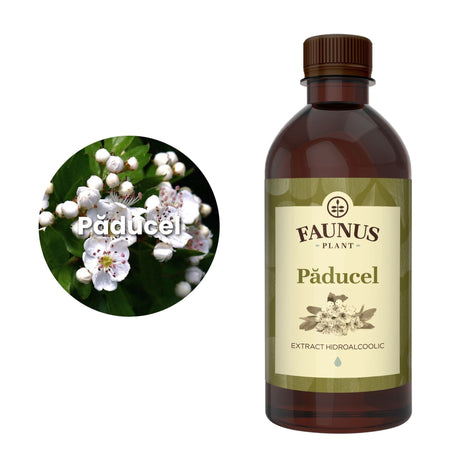 Imagine care cuprinde o reprezentare grafică a ingredientului principal din compoziția Tincturii Păducel 500ml și anume planta păducel. În dreapta imaginii, produsul Tinctura Păducel 500 ml de la Faunus Plant. | Cantitate - 500ml