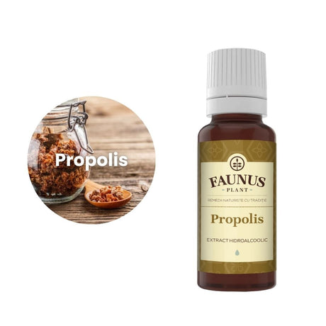Imagine care cuprinde o reprezentare grafică a ingredientului principal din compoziția Tincturii Propolis 20ml și anume planta păducel. În dreapta imaginii, produsul Tinctura Propolis 20ml de la Faunus Plant.