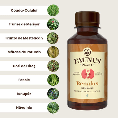 Reprezentare grafică a ingredientelelor principale ale Tincturii Renalus 200ml: coada-calului, frunze de merișor, frunze de mesteacăn, mătase de porumb, cozi de cireș, fasole, ienupăr și năvalnic.