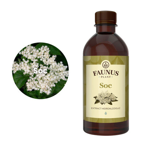 Imagine care cuprinde o reprezentare grafică a ingredientului principal din compoziția Tincturii Soc 500ml și anume socul. În dreapta imaginii, produsul Tinctură Soc 500 ml de la Faunus Plant. | Cantitate - 500ml