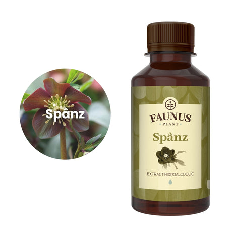 Imagine care cuprinde o reprezentare grafică a ingredientului principal din compoziția Tincturii Spânz 200ml și anume spânzul. În dreapta imaginii, produsul Tinctură Spânz 200 ml de la Faunus Plant.