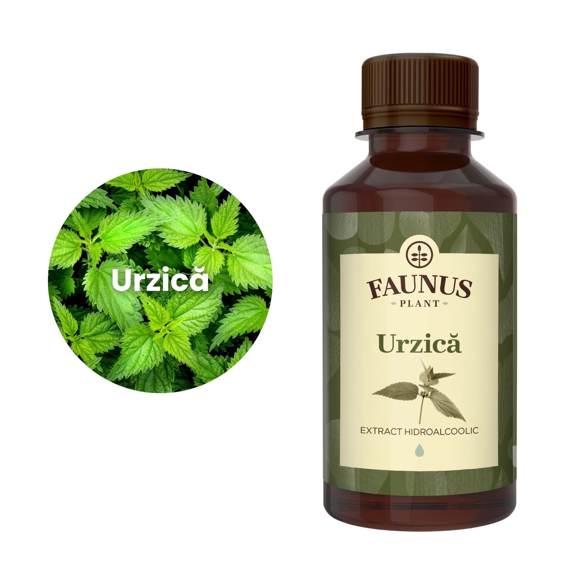 Urzică - Tinctură. Flacon 200ml. Extract hidroalcoolic concentrat din urzică pentru sănătatea rinichilor și a vezicii urinare, efect diuretic Tinctura Simpla Faunus Plant 