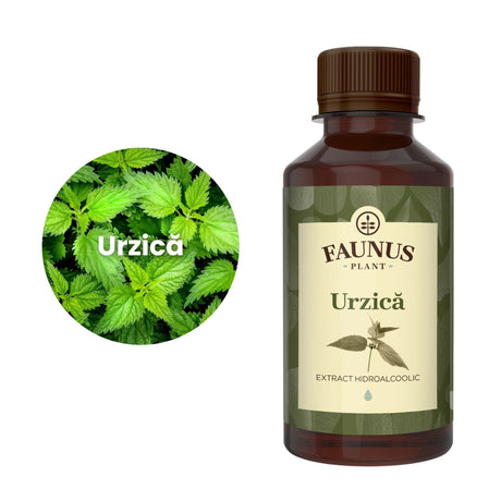 Imagine care cuprinde o reprezentare grafică a ingredientului principal din compoziția Tincturii Urzică 200ml și anume urzica. În dreapta imaginii, produsul Tinctură Urzică 200 ml de la Faunus Plant.