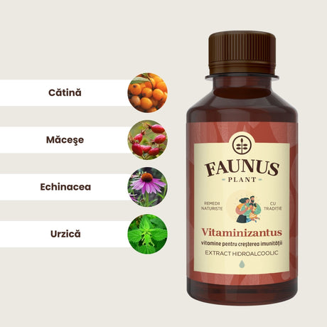 Reprezentare grafică a ingredientelelor principale ale Tincturii Vitaminizantus 200ml: cătină, măceșe, echinacee și urzică