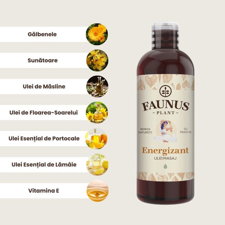 Ilustrație cu ingredientele principale ale Uleiului de Masaj Energizant: ulei de măsline (Olea Europaea), ulei de floarea-soarelui (Helianthus annuus), gălbenele (Calendula officinalis), sunătoare (Hypericum perforatum), uleiuri esențiale de portocale (Citrus sinensis) și lămâie (Citrus limon), vitamina E (tocopherol).