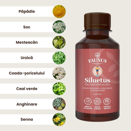 Lista ingredientelor principale ale Tincturii Siluetus fără alcool, inclusiv păpădie, soc, mesteacăn, urzică, coada-șoricelului, ceai verde, anghinare, senna în chenar alb alături de câte o imagine reprezentativă, având în partea dreaptă flaconul de loțiune.