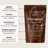 Proveganis - Proteină vegetală cu aromă de ciocolată. Amestec natural pentru energie și susținerea masei musculare. Pudră 500 g Superalimente Faunus Plant 