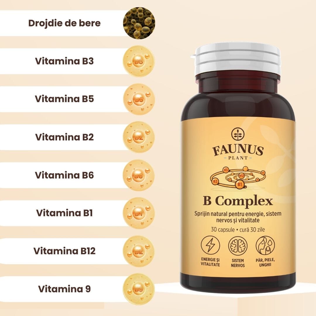 Vitamina B Complex – Capsule pentru metabolism energetic, sistem nervos și imunitate. Flacon 30 capsule Supliment alimentar Faunus Plant 