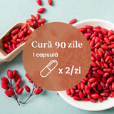 Pachet 2+1 Gratis Berberină pentru echilibru metabolic, susținerea nivelului normal al glucozei, colesterolului și trigliceridelor. 500 mg berberină/capsulă Pachet Faunus Plant 