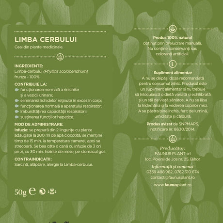 Eticheta desfășurată a Ceaiului Limba Cerbului 50g de la Faunus Plant, cu informații detaliate despre ingrediente, mod de administrare și contraindicații. Ingredient: Limba cerbului (Phyllitis scolopendrium) frunze – 100%.