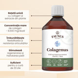 Colagenus - Colagen lichid hidrolizat. Flacon 500ml. Susține sănătatea articulațiilor, pielii, părului și unghiilor Supliment alimentar Faunus Plant 
