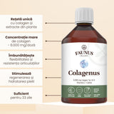 Colagenus - Colagen lichid hidrolizat. Flacon 500ml. Susține sănătatea articulațiilor, pielii, părului și unghiilor Supliment alimentar Faunus Plant 