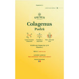 Colagenus Pudră - Colagen hidrolizat concentrat. 10.000 mg tip 1 și tip 3 cu vitamina C. Susține sănătatea articulațiilor, pielii și oaselor. Pudră 303g Pudra Faunus Plant 