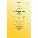 Colagenus Pudră - Colagen hidrolizat concentrat. 10.000 mg tip 1 și tip 3 cu vitamina C. Susține sănătatea articulațiilor, pielii și oaselor. Pudră 303g Supliment alimentar Faunus Plant 